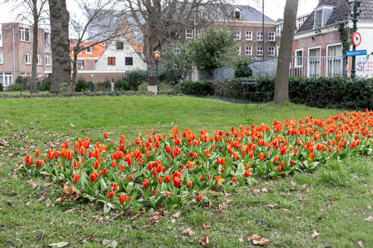 Haarlem Vineyard House别墅 外观 照片
